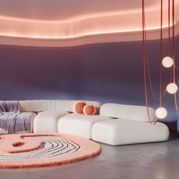 новинки Orac 2024