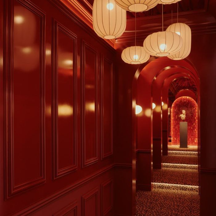 Orac: новинки 2025